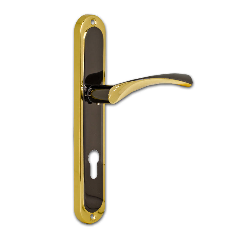 Entrance Lever Door Handle