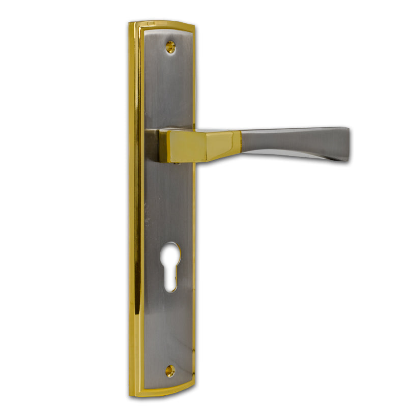 Entrance Lever Door Handle