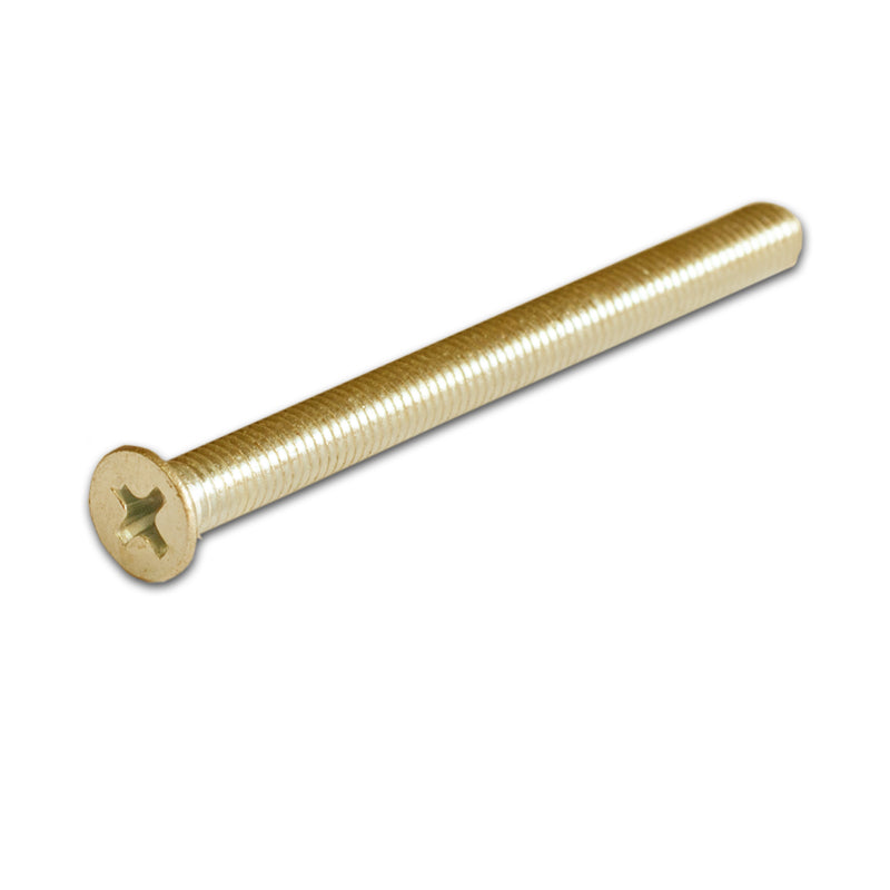 M5 x 60mm Cylinder Lock Screw
