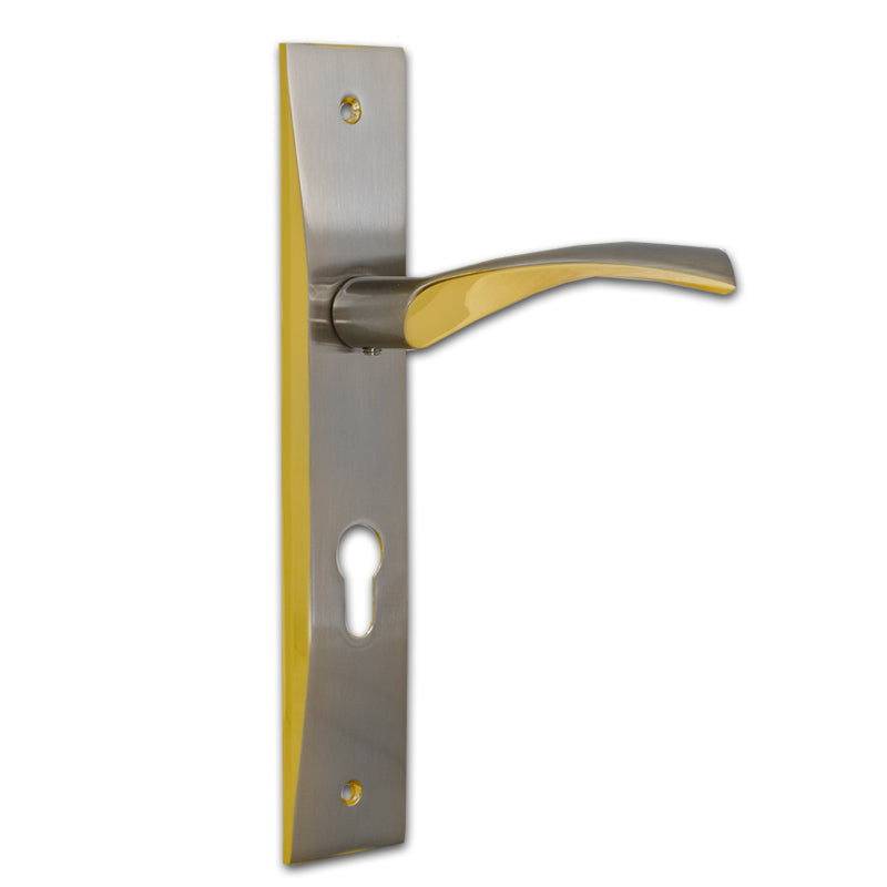 Entrance Lever Door Handle