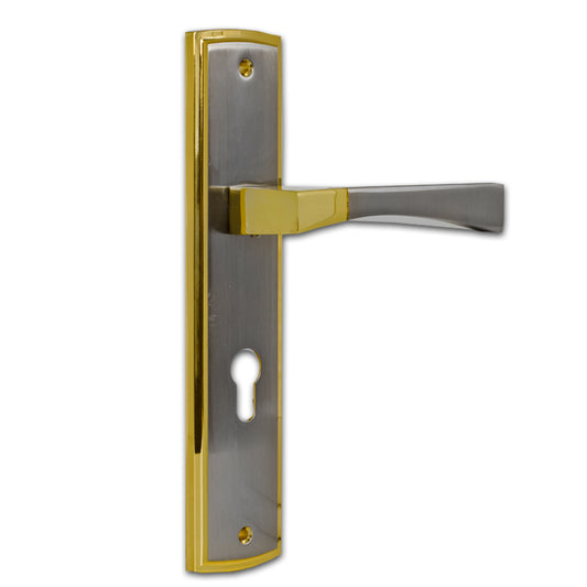 Entrance Lever Door Handle
