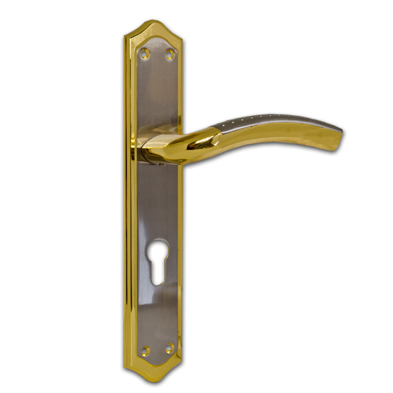Entrance Lever Door Handle