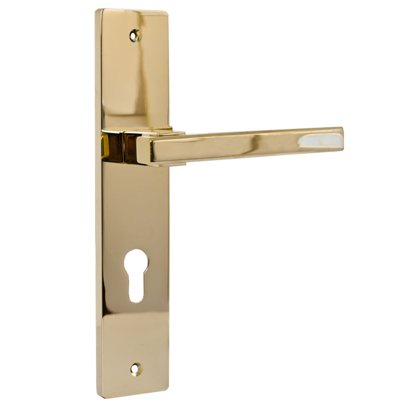 Lever Door Handle