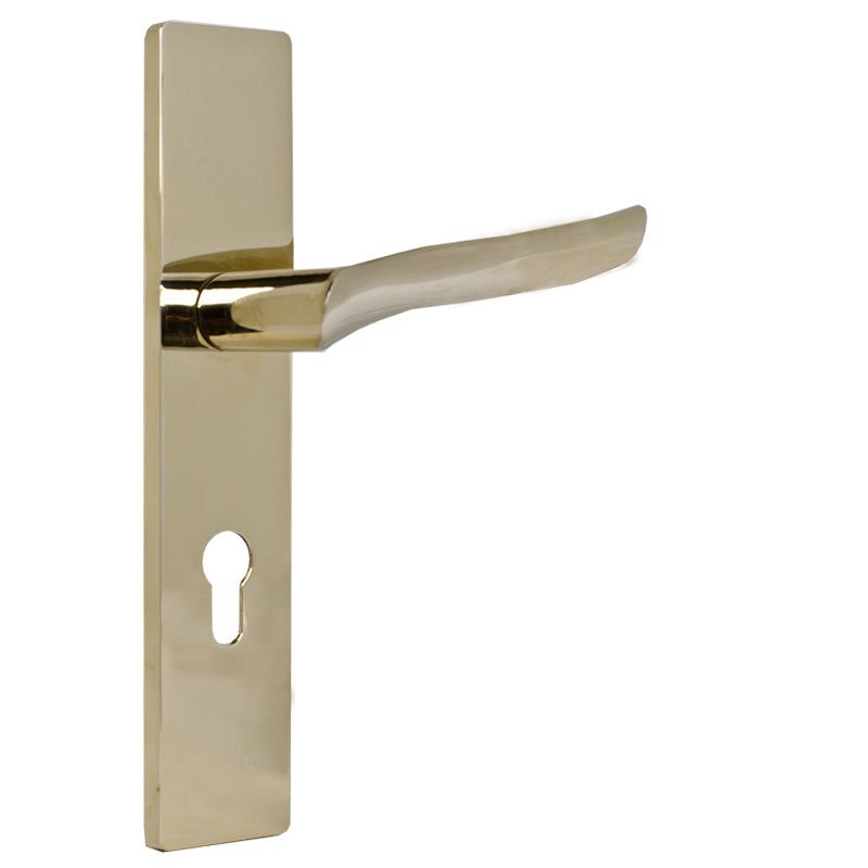 Lever Door Handle